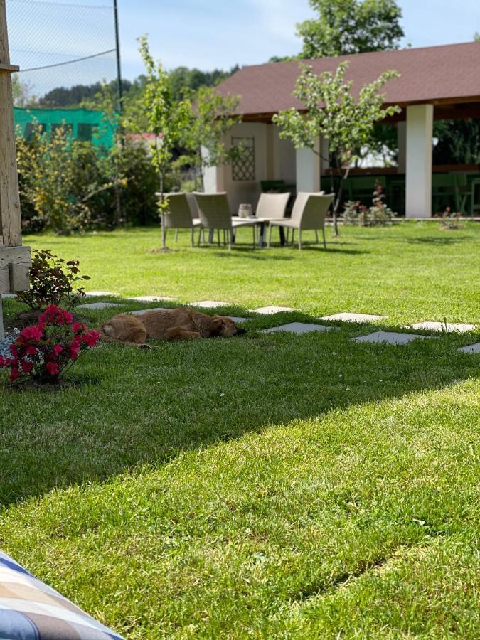 Anahouse Hotell Vişeu de Sus Eksteriør bilde