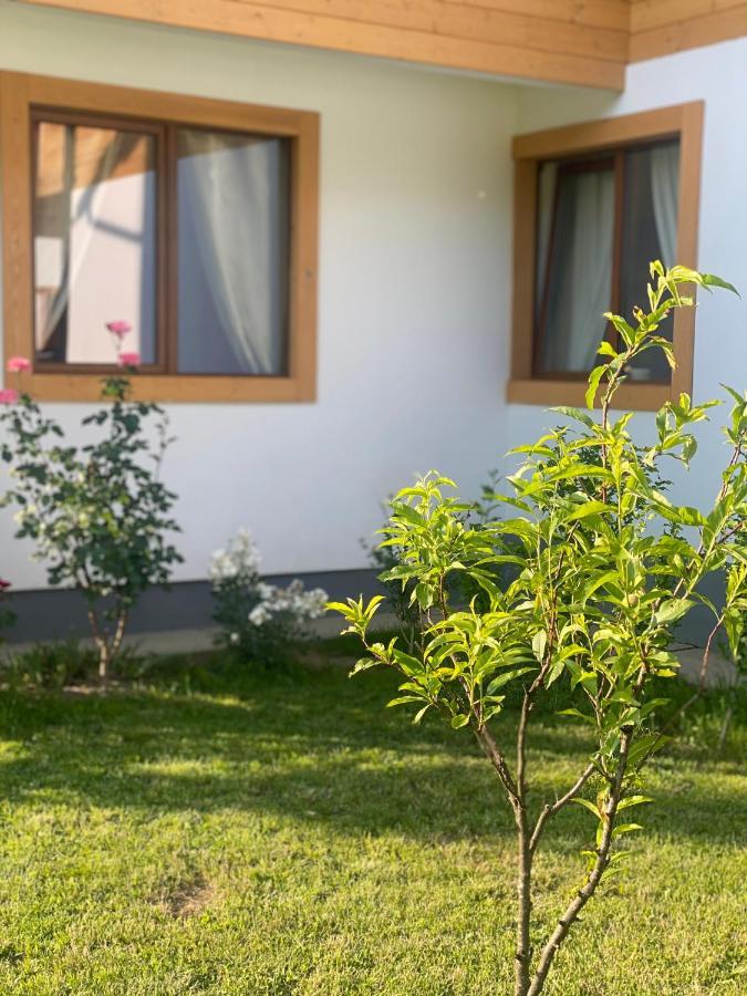 Anahouse Hotell Vişeu de Sus Eksteriør bilde