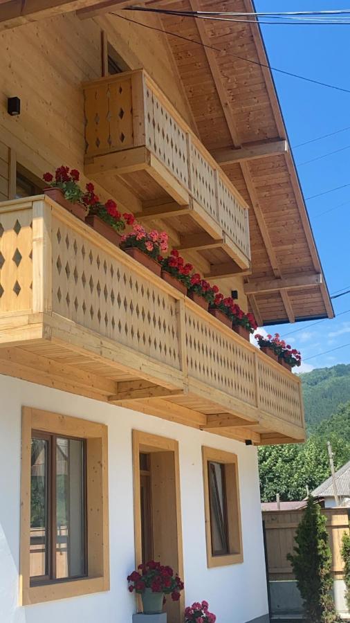 Anahouse Hotell Vişeu de Sus Eksteriør bilde