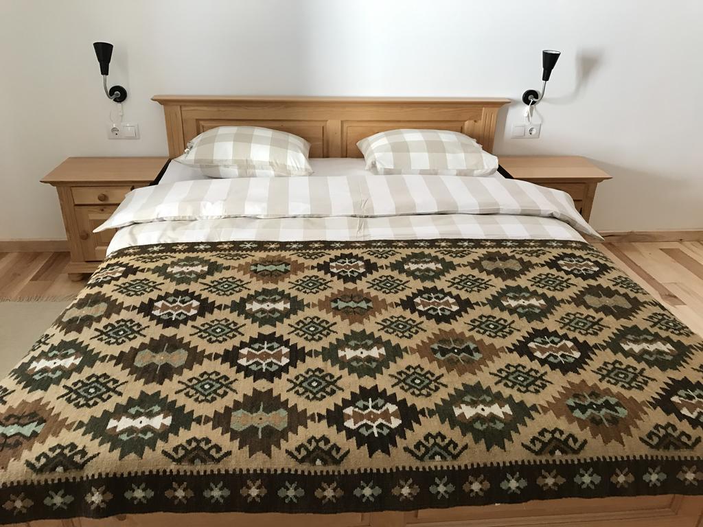 Anahouse Hotell Vişeu de Sus Eksteriør bilde